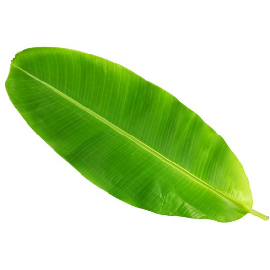 BANANA LEAVES 3 PCS - LOCAL MARKET