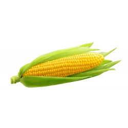 Corn (Bada Irigu) 500g