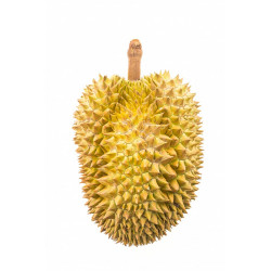 Durian 1.25kg
